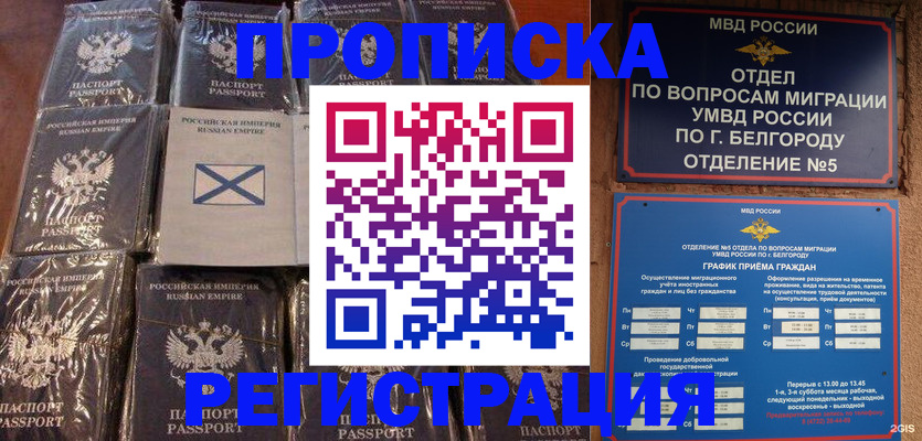 прописка гарантия в Чкаловске